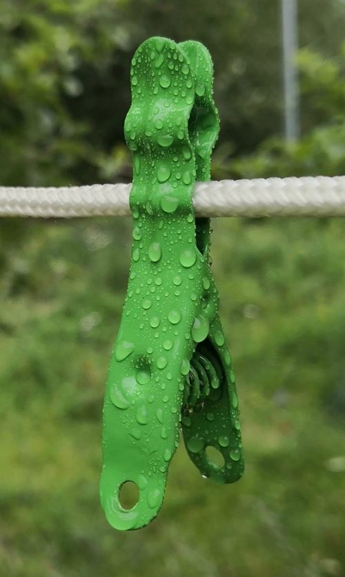 Gulgrøn Omega tøjklemme fra Popotamus i rustfrit stål